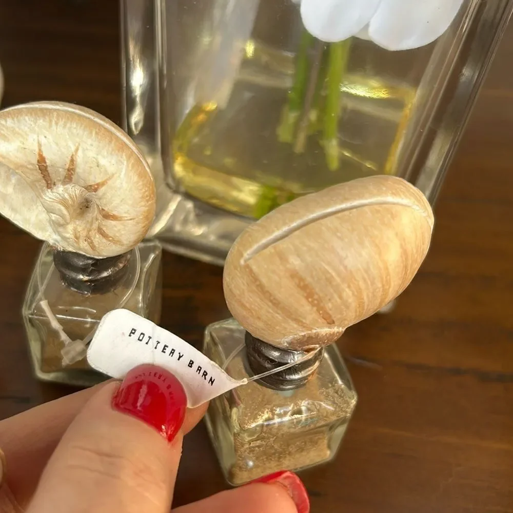 Pottery Barn Shell and Sand Place holders set of 4 NWT